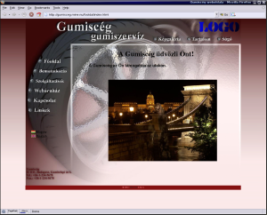 gumisceg.dzs-z.hu