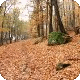 Zempl�ni-hegys�g t�jegys�g k�pe