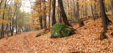 Dzs-z t�ra le�r�sok, turista tudnival�k, k�p gal�ri�k